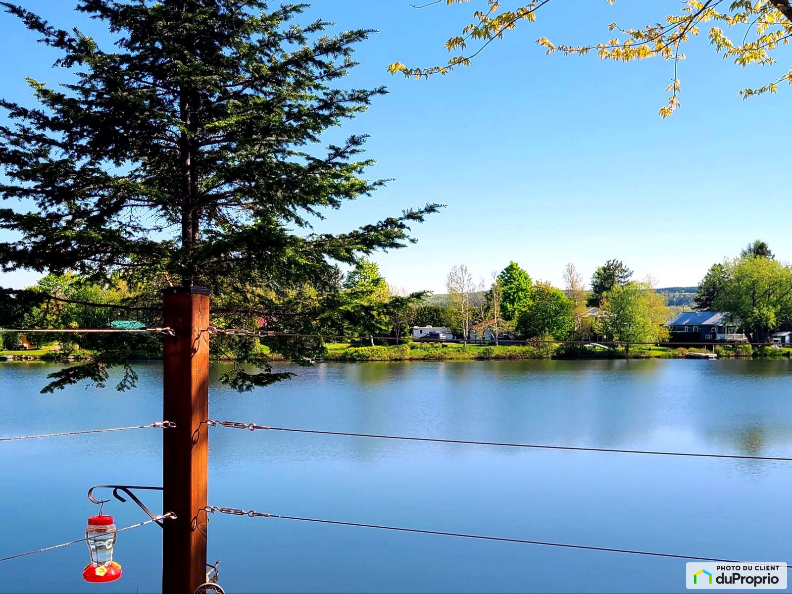 1133 Chemin Du Lac Lippe Sud — photo 3