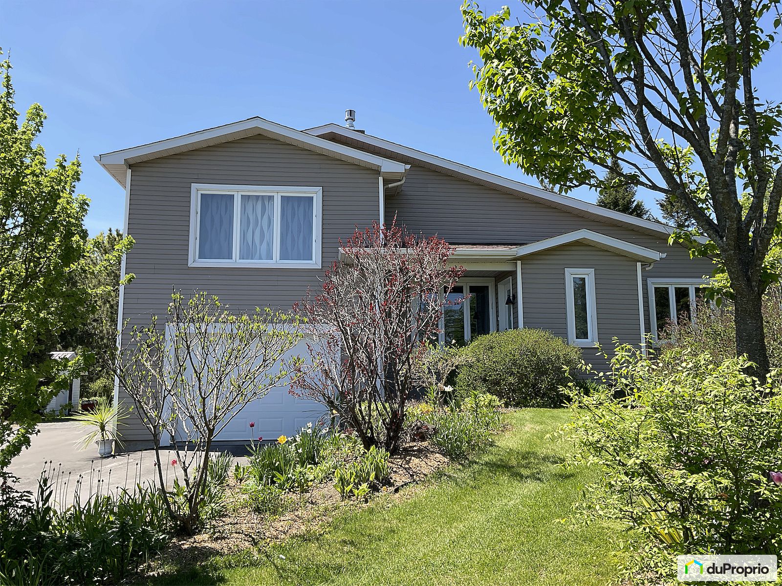 226 Boulevard Brassard — photo 3