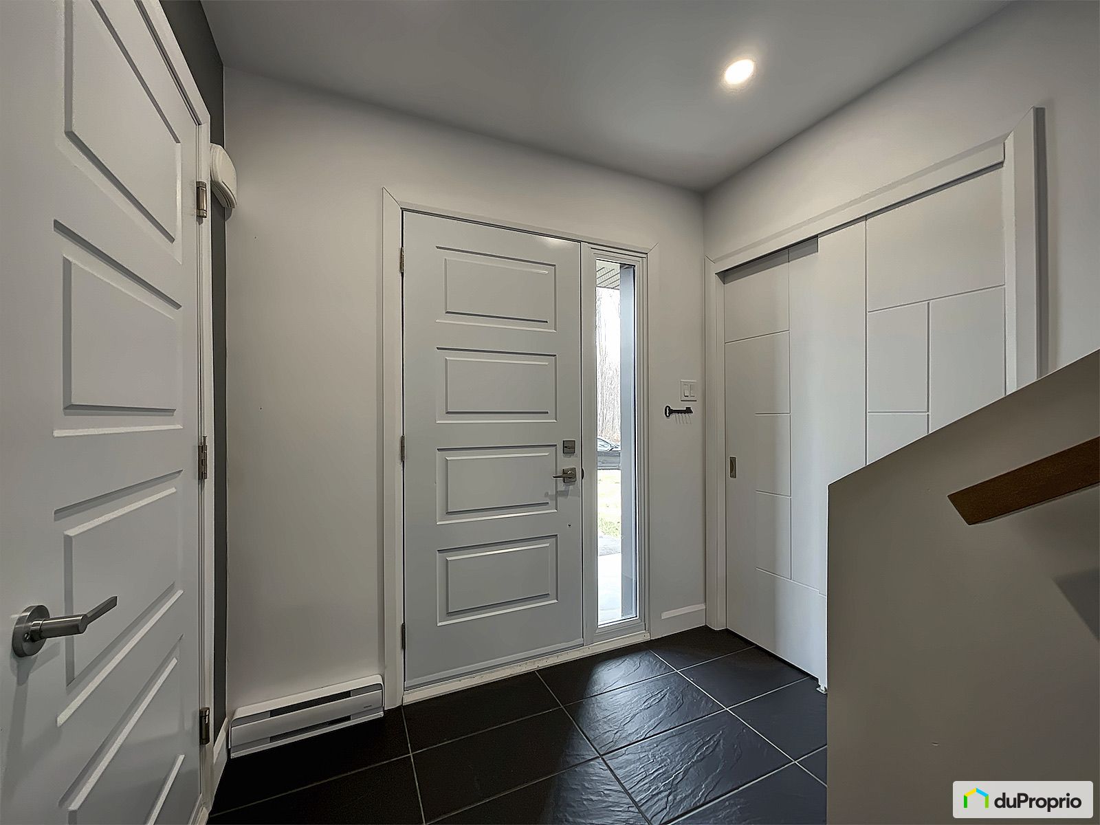 2205 Rue Maurice Beaudet — photo 2