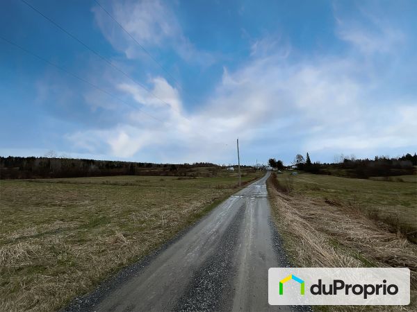 1420, route 216, St-Adrien à vendre