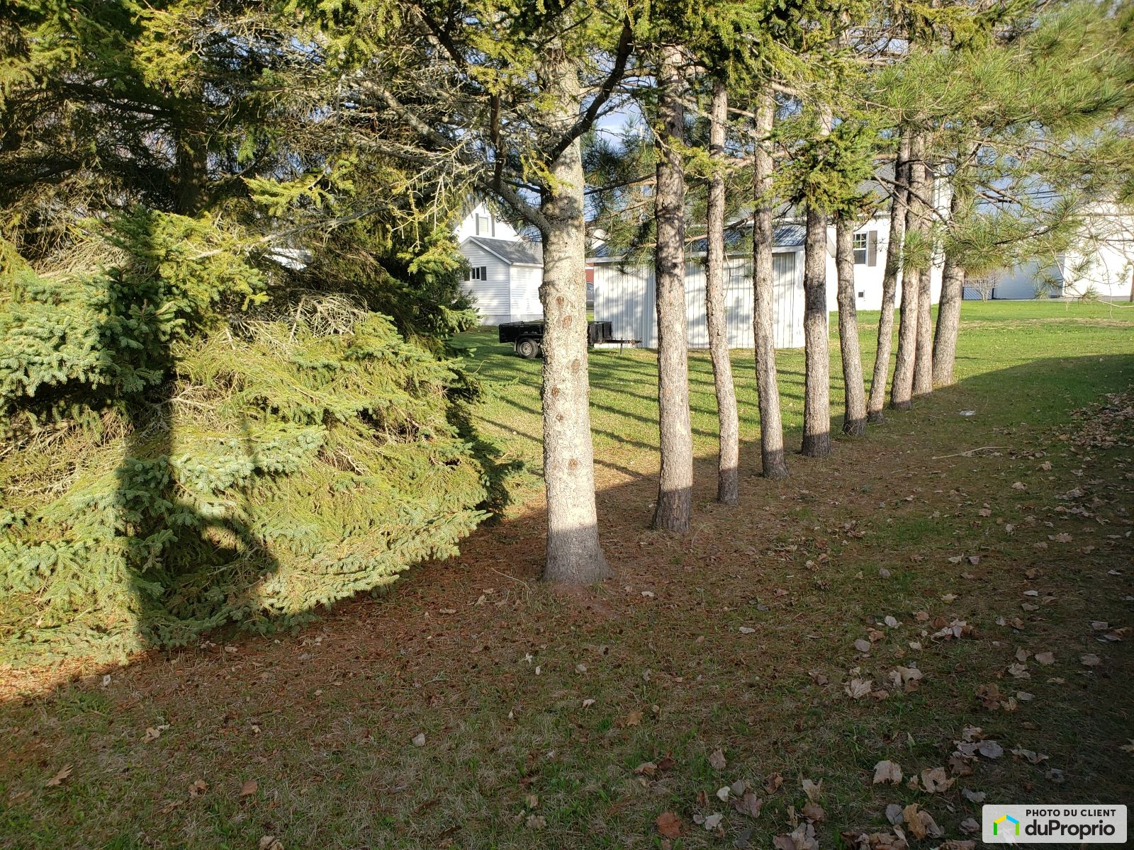 X Rue Des Ormes — photo 3
