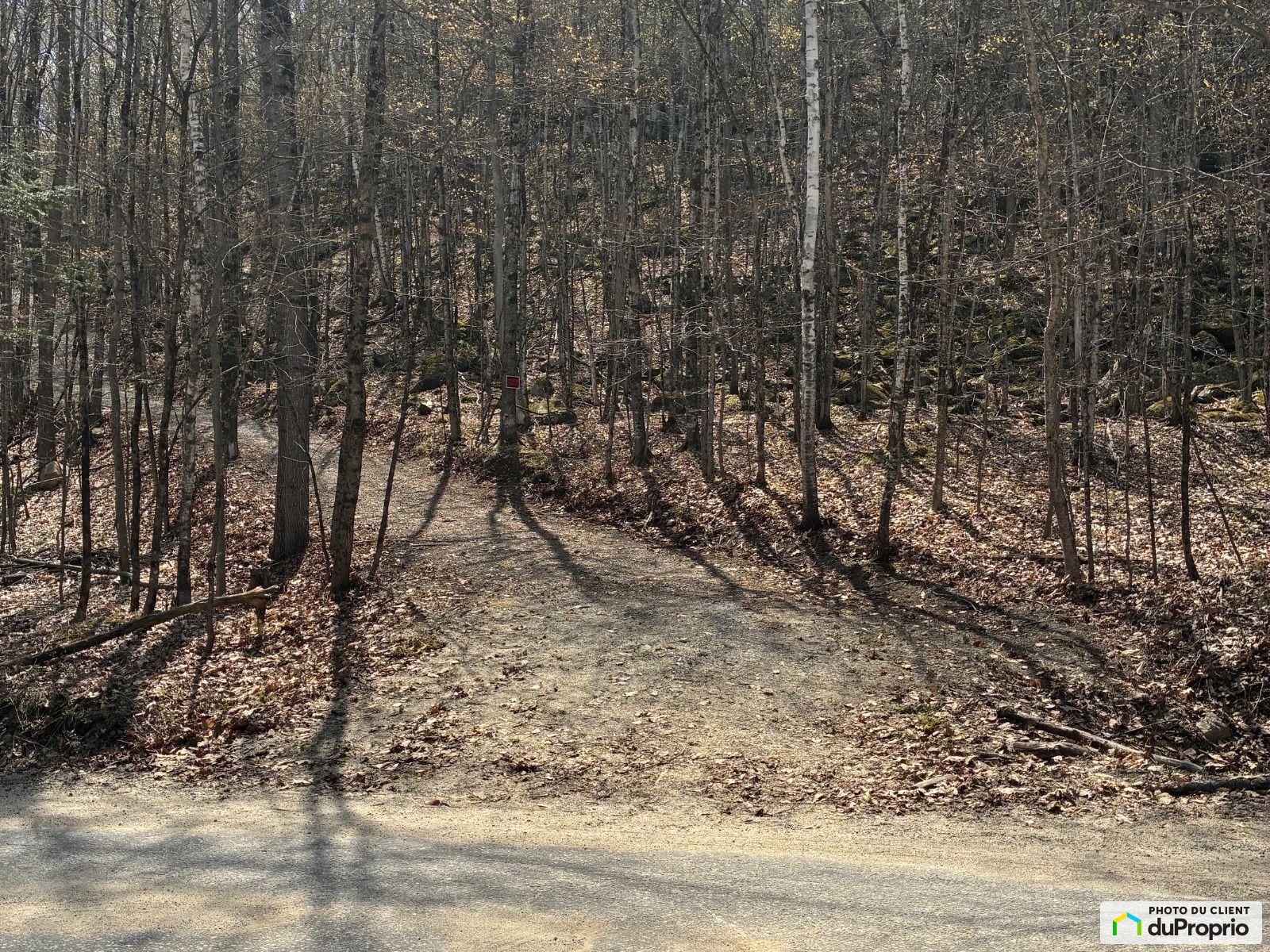 125 Chemin Du Barrage — photo 2