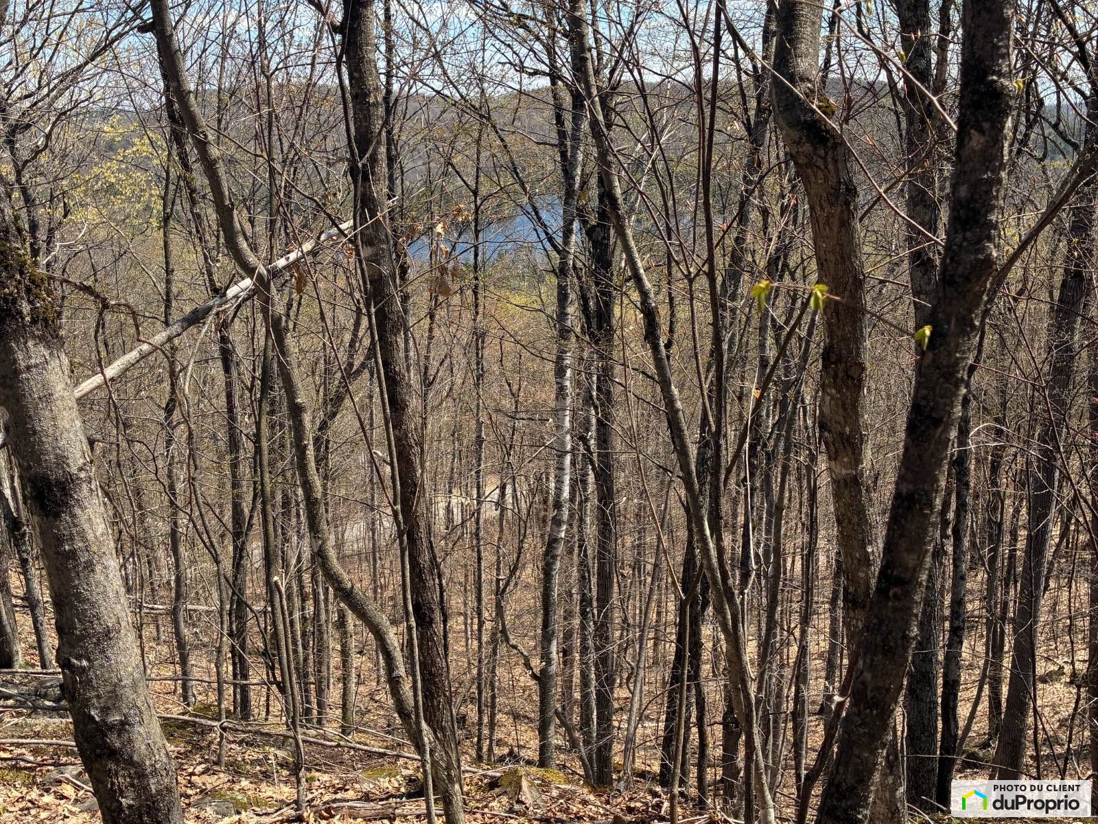 125 Chemin Du Barrage — photo 1