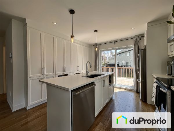 1285, rue du Docteur-Rodolphe-Boulet, Joliette à vendre