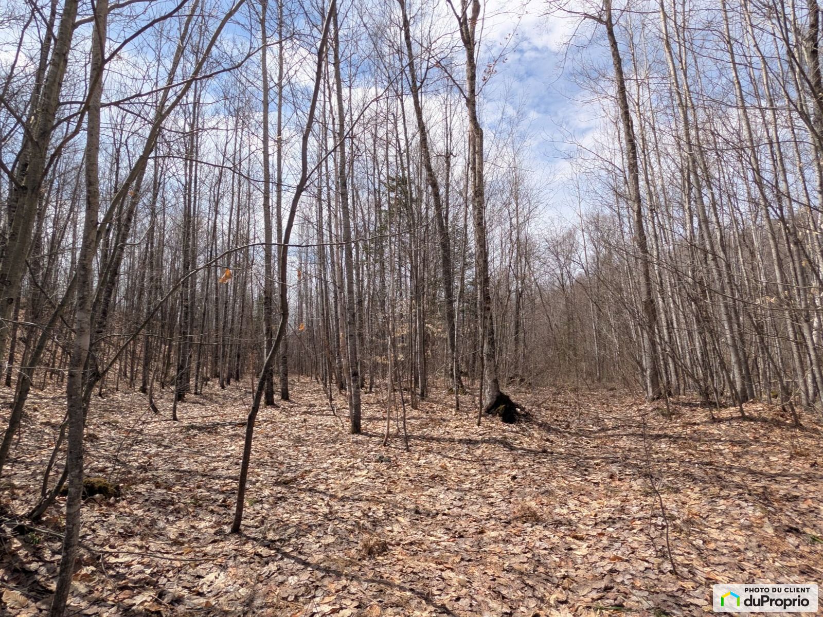 Chemin Barette — photo 2