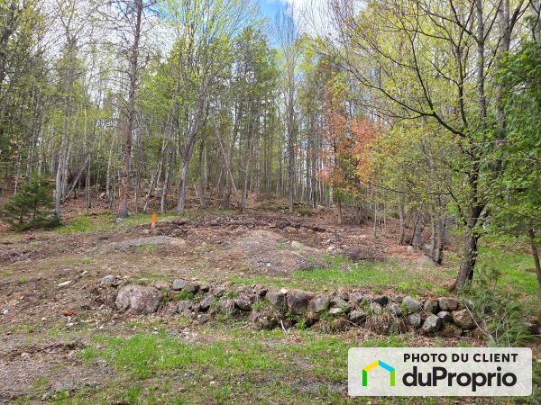 1471, chemin du Village, Mont-Tremblant à vendre