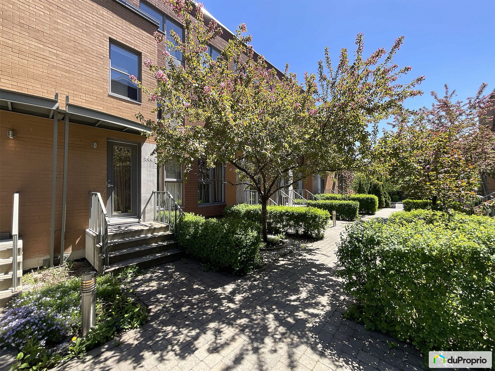 5863 Rue Claude Masson — photo 3