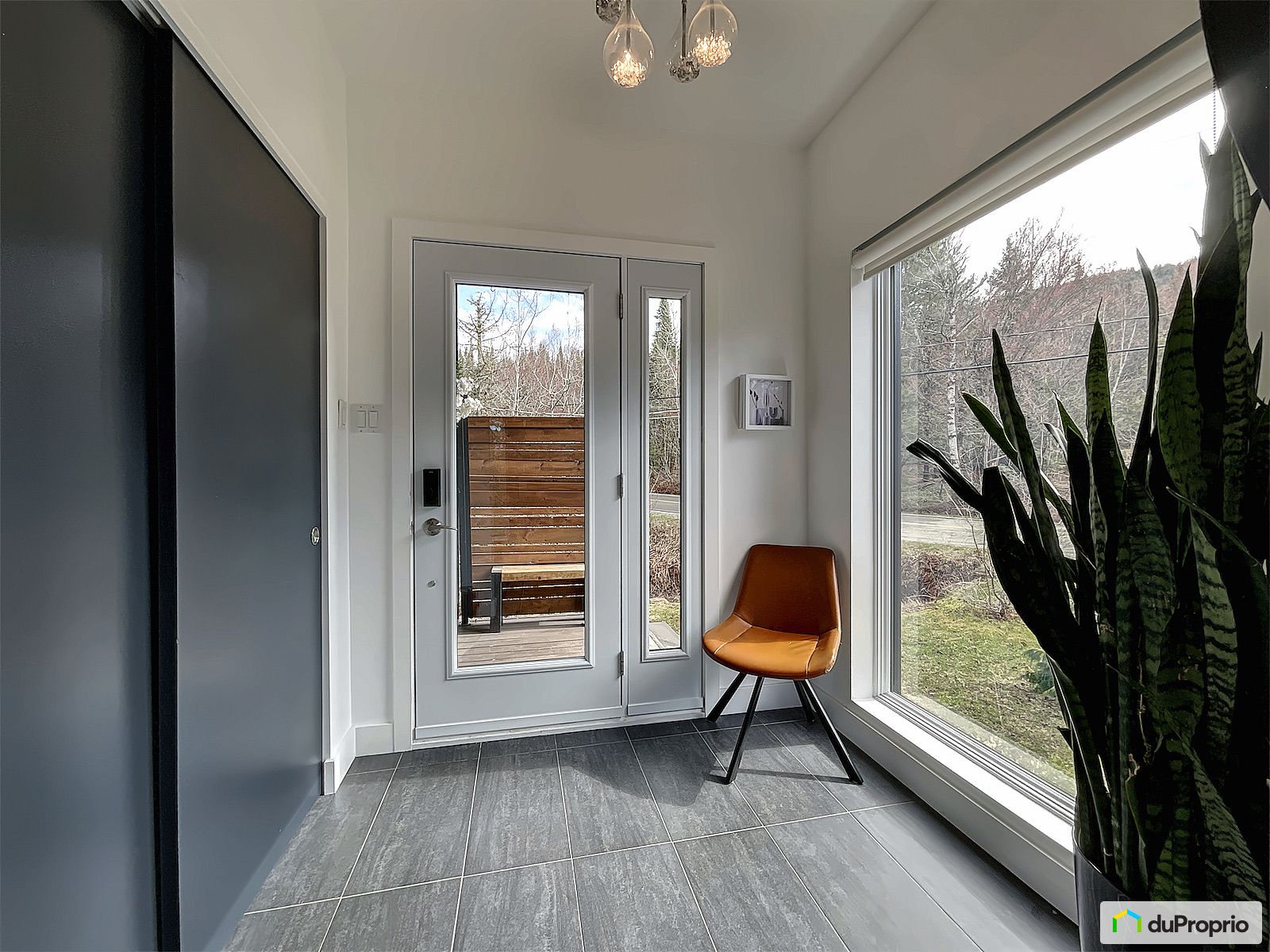 241 Rue Saint Louis — photo 3