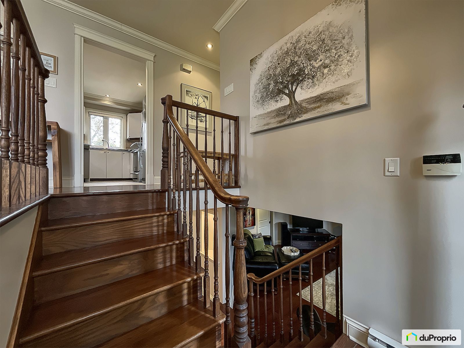 695 Rue De Radisson — photo 3