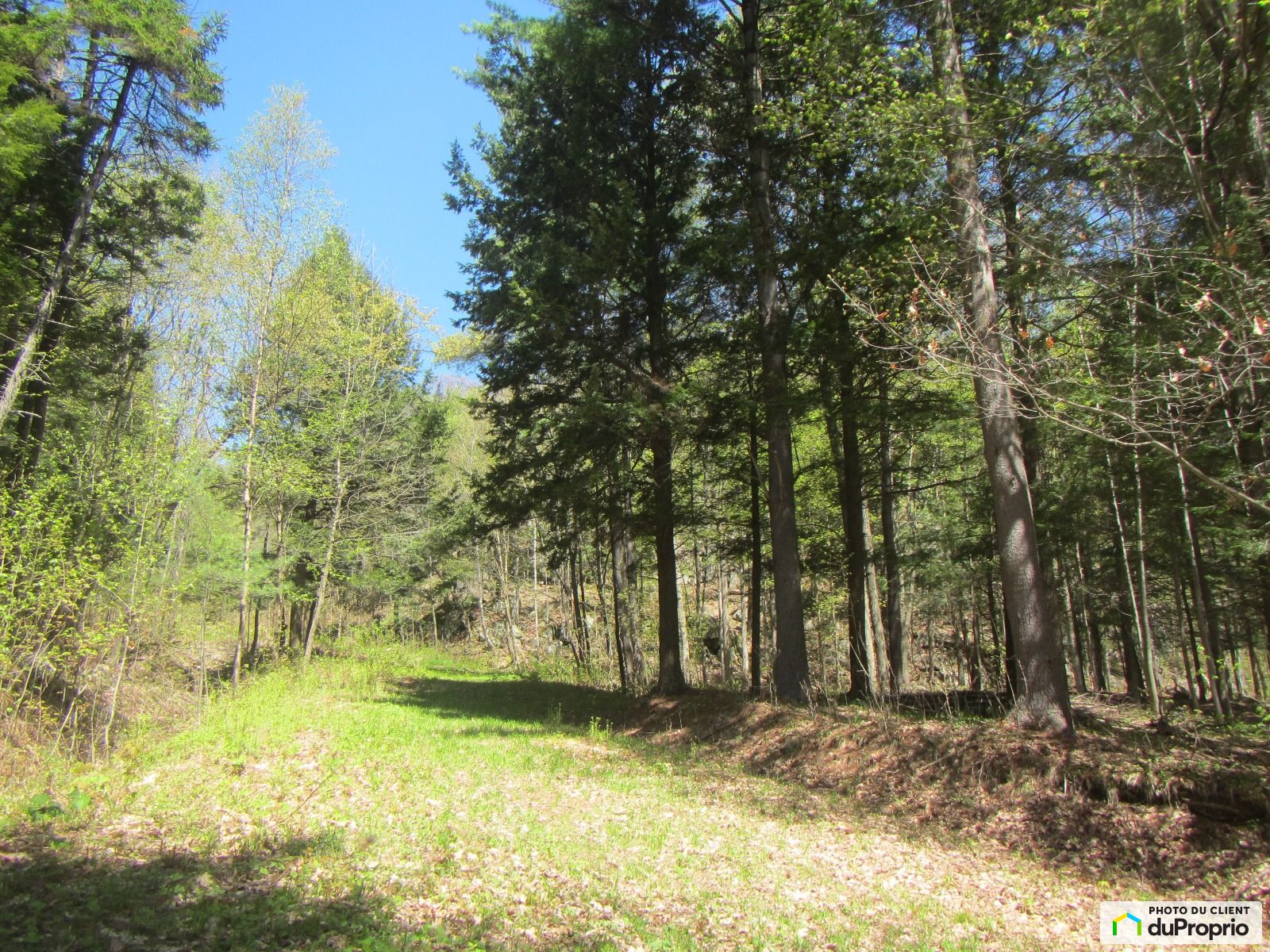 Chemin Du Lac Charest — photo 3