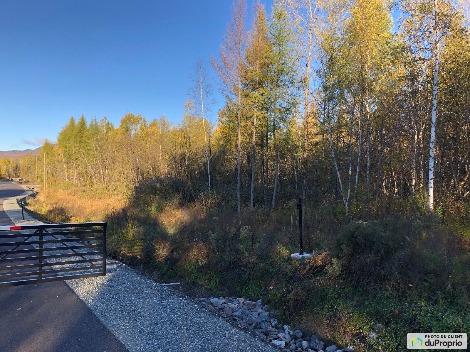 Allee De La Faune — photo 3