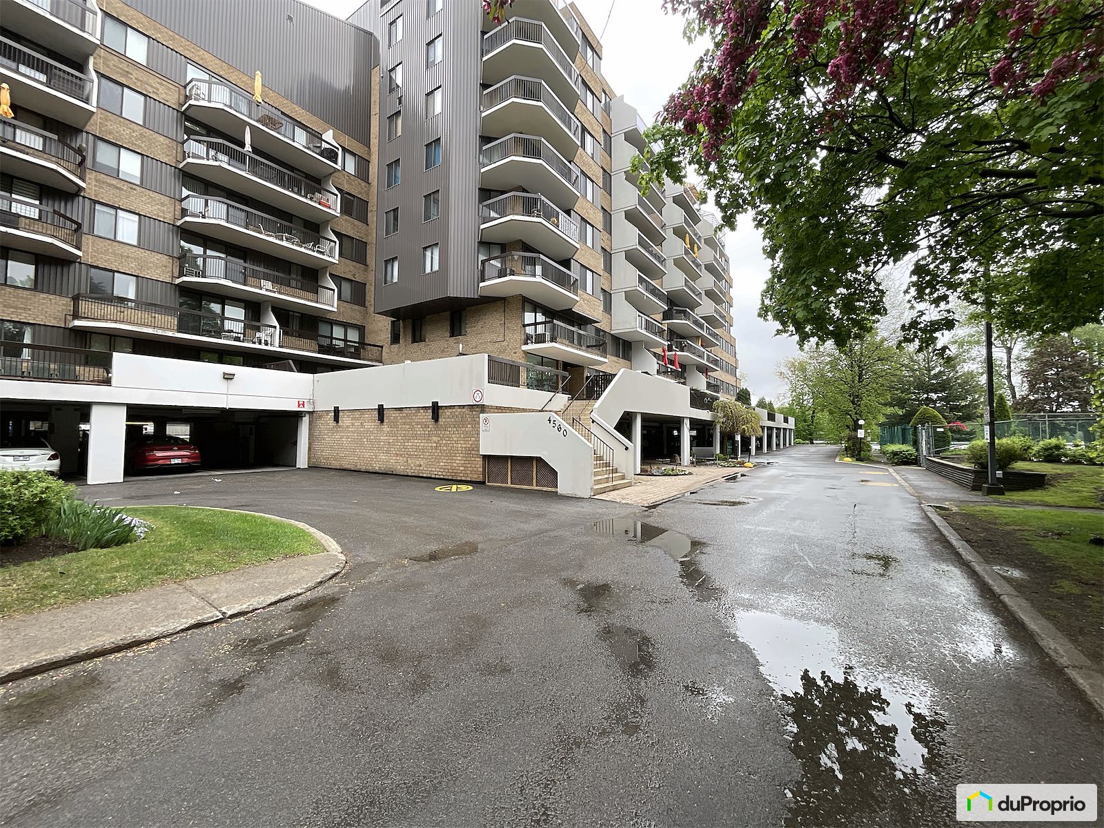 703 4560 Promenade Paton — photo 3