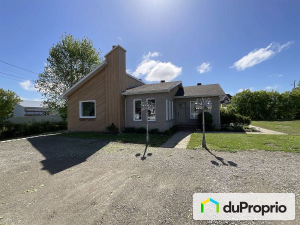 49 rue Daneau, Ste-Perpétue for sale