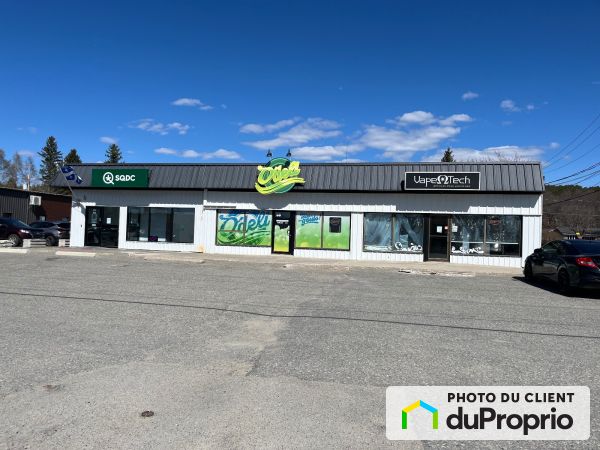 38, rue des Oblats Nord, Ville-Marie à vendre