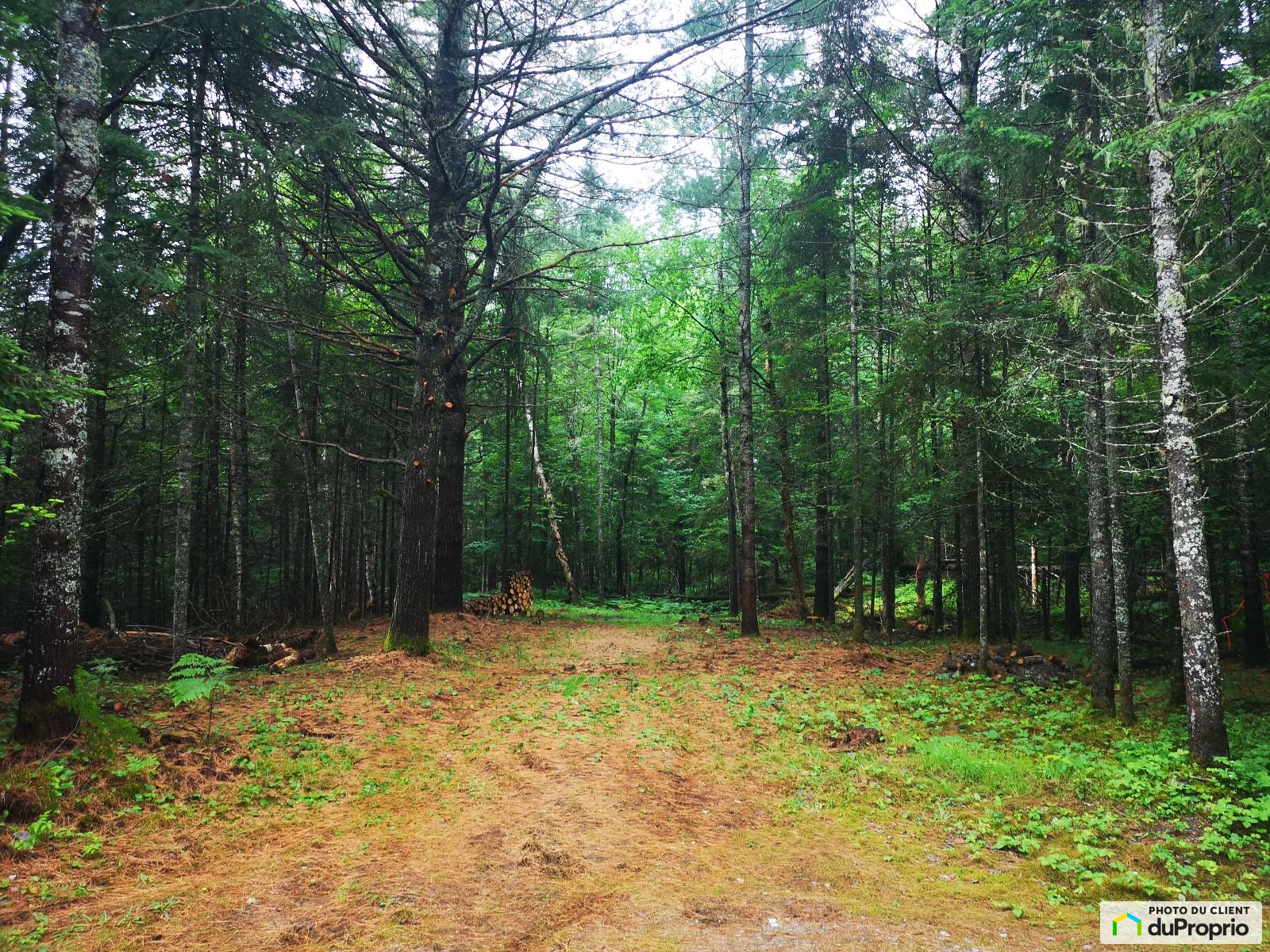 Chemin Catherine Groslouis — photo 1