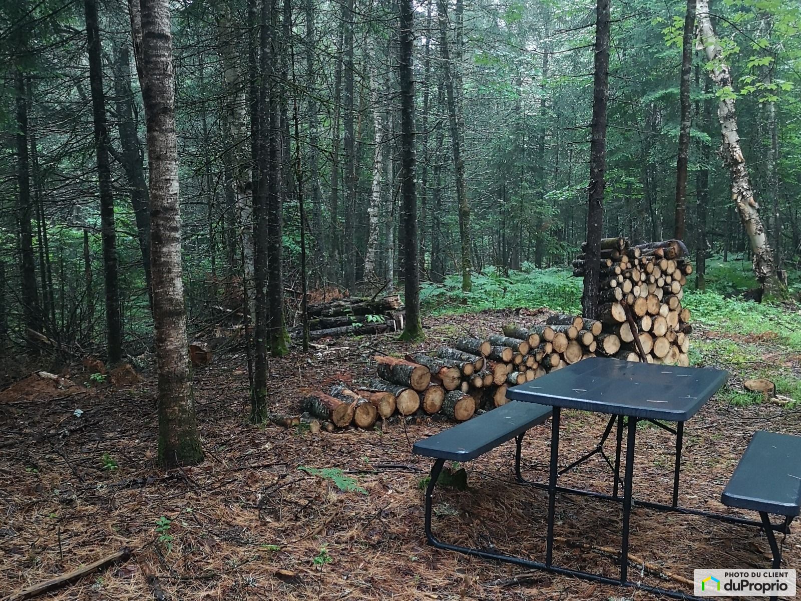 Chemin Catherine Groslouis — photo 3