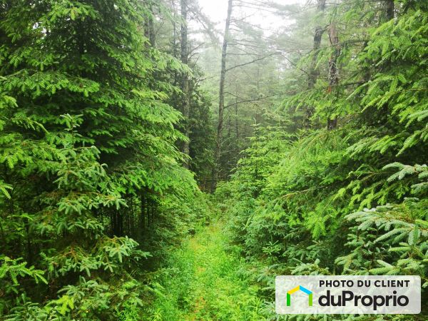 , chemin Catherine-Groslouis, Labelle à vendre
