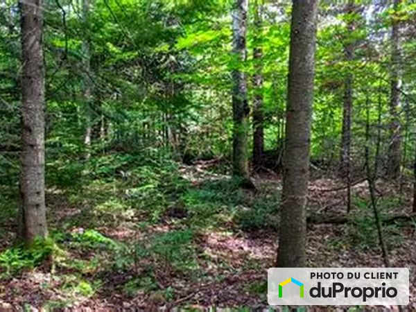 X, chemin du Tour-du-Lac, Nominingue à vendre