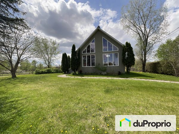 25, avenue De Blois, St-Cyprien-De-Napierville à vendre