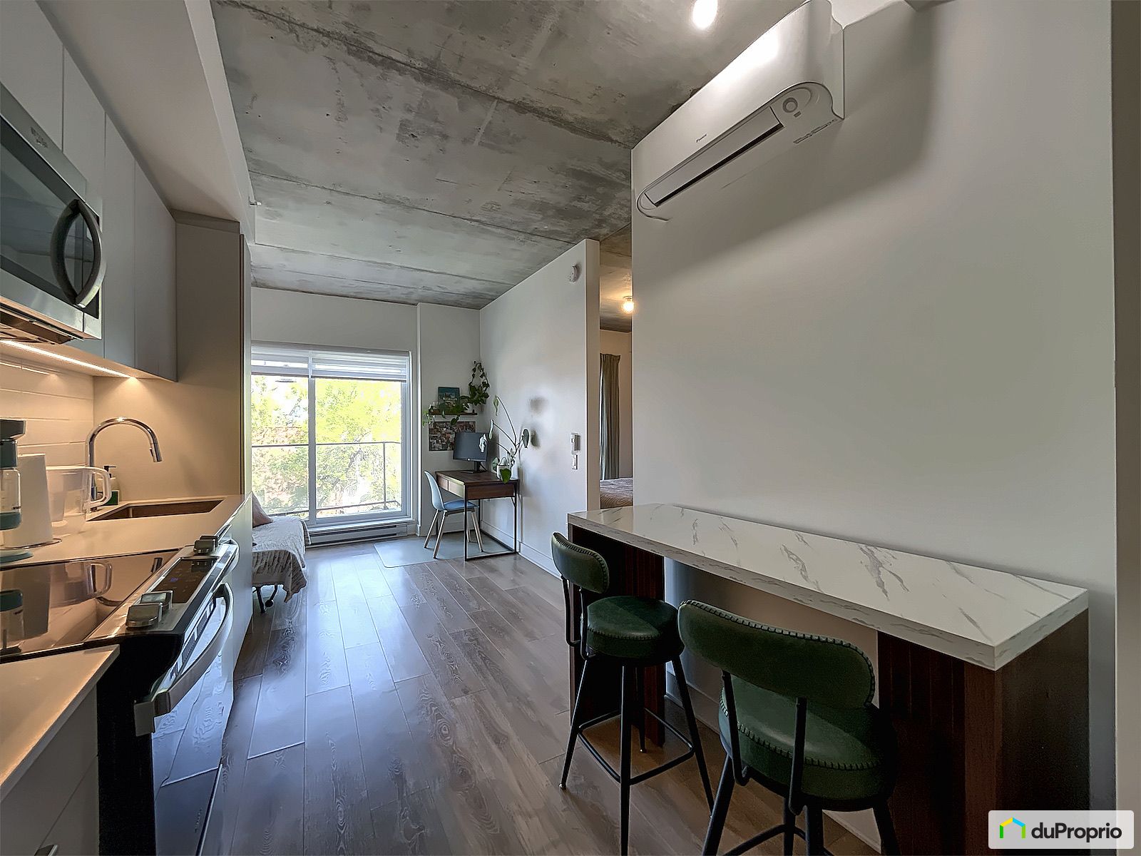 312 9290 Avenue Dubuisson — photo 1