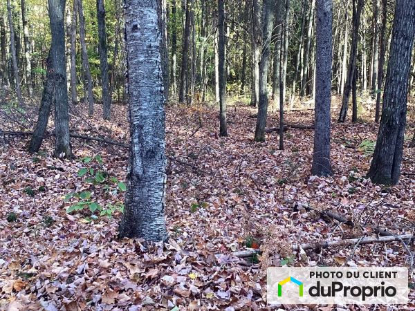 , chemin côte-Joseph, St-Lin-Laurentides à vendre
