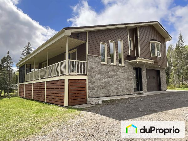 Vue côté - 416, rue du Cap, Larouche à vendre