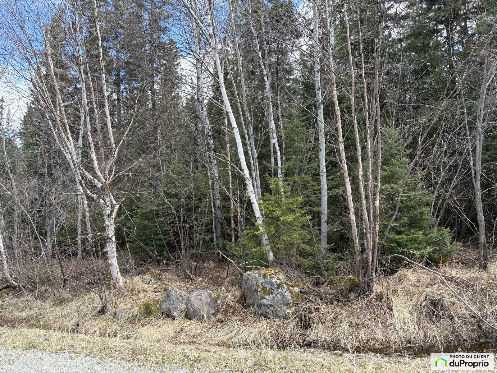X Chemin Des Sapins — photo 1