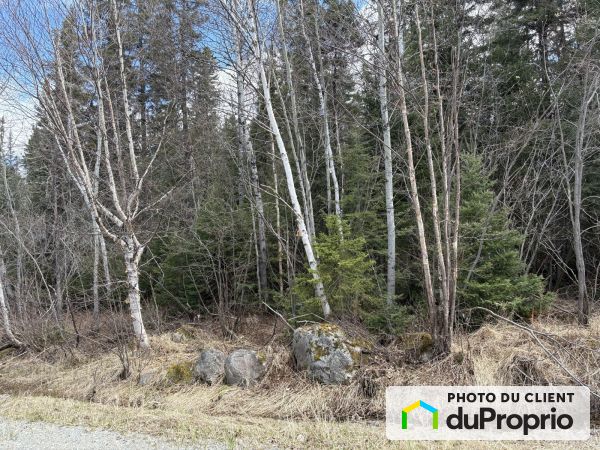 X, chemin des Sapins, Trécesson à vendre