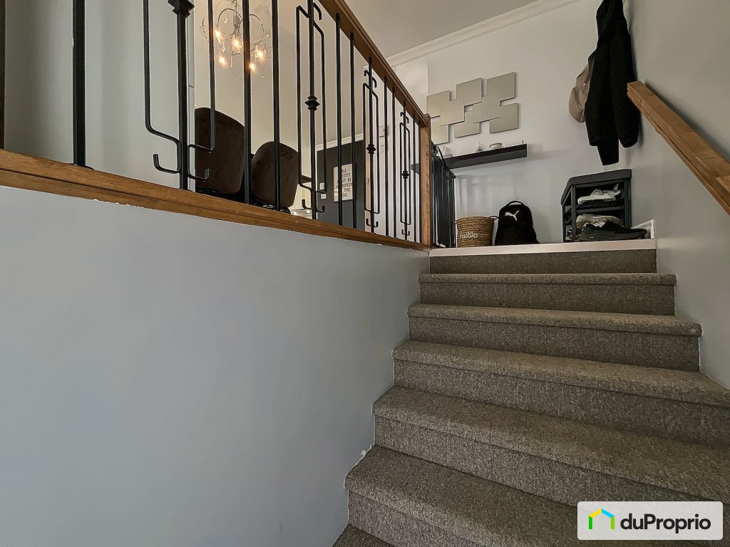 3057 Rue Frederic Legare — photo 3