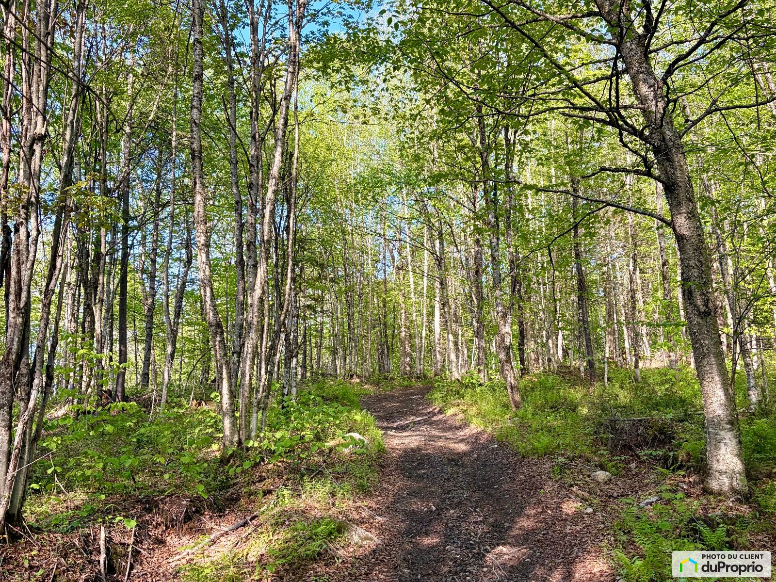 1 Chemin Du Lac Sept Iles — photo 2