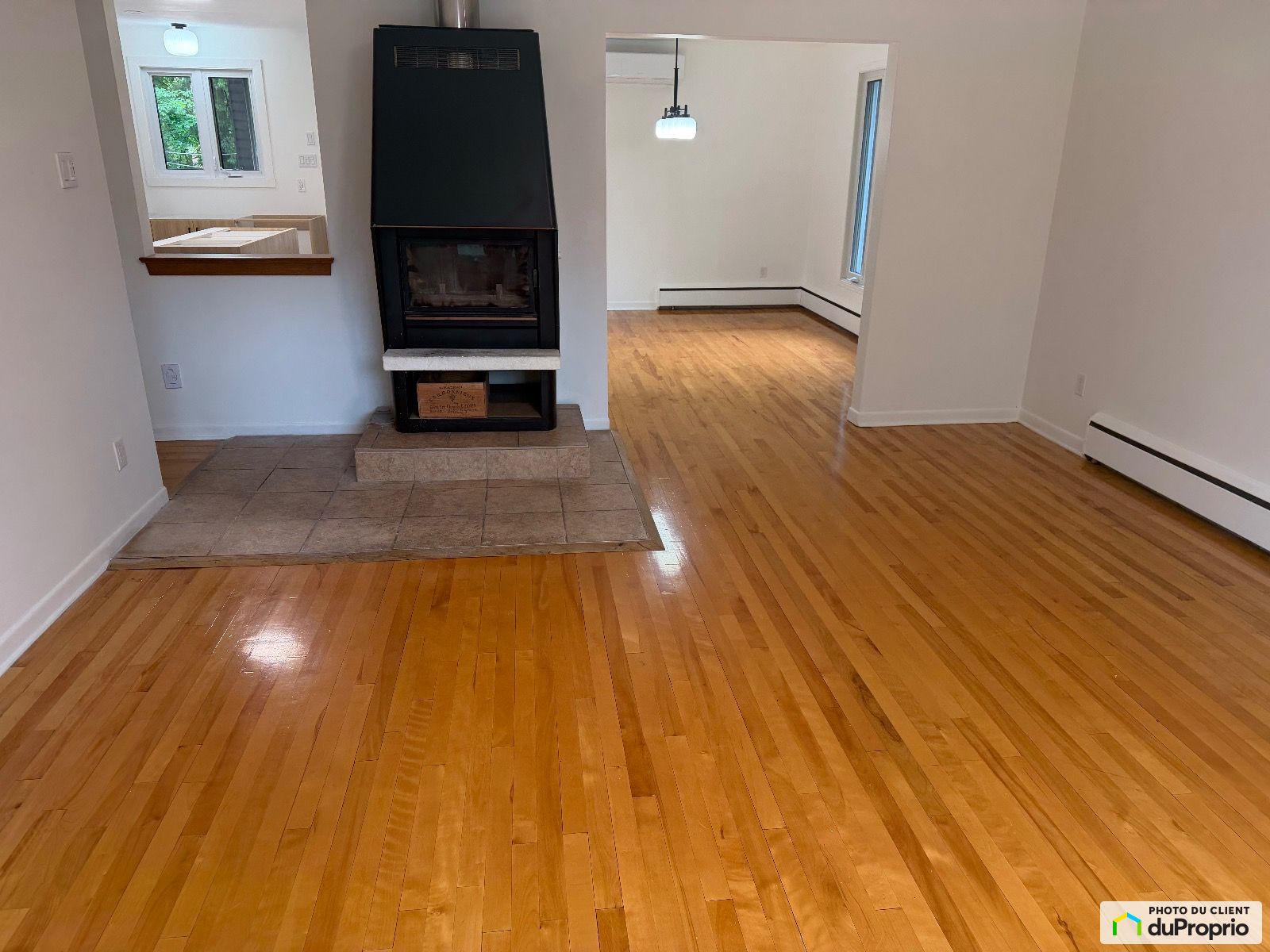 1269 Rue Du Dominion — photo 3