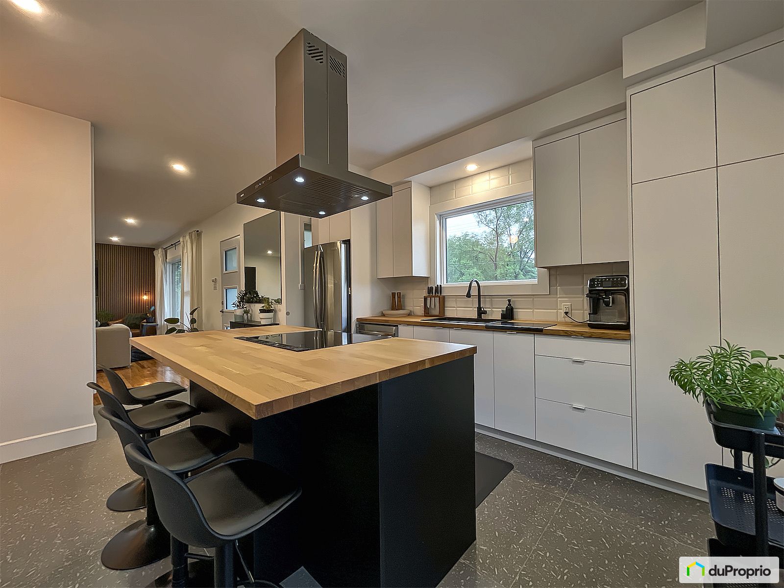 4648 Rue Saint Felix — photo 3