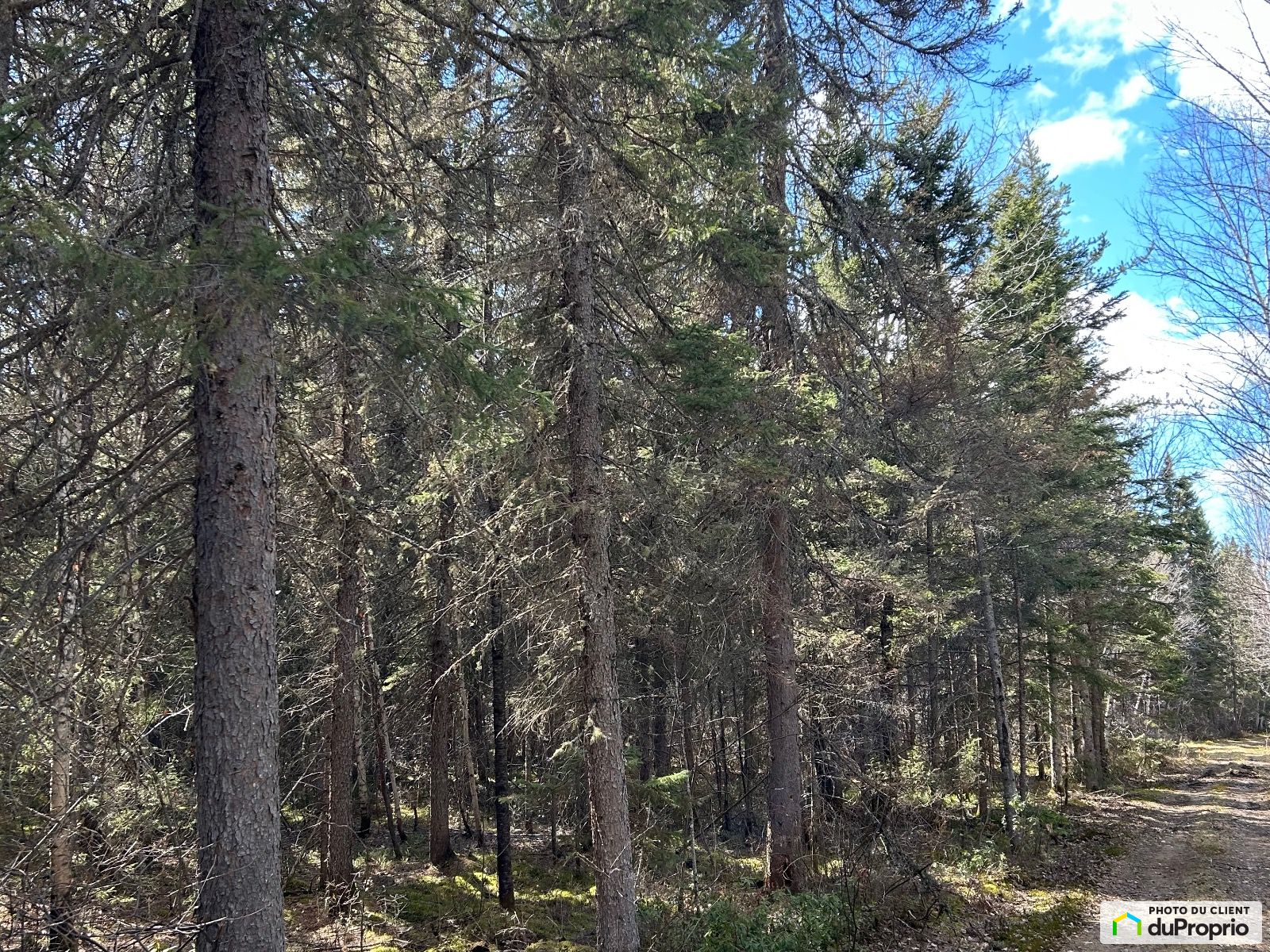 3185 Chemin Du Heron Bleu — photo 1