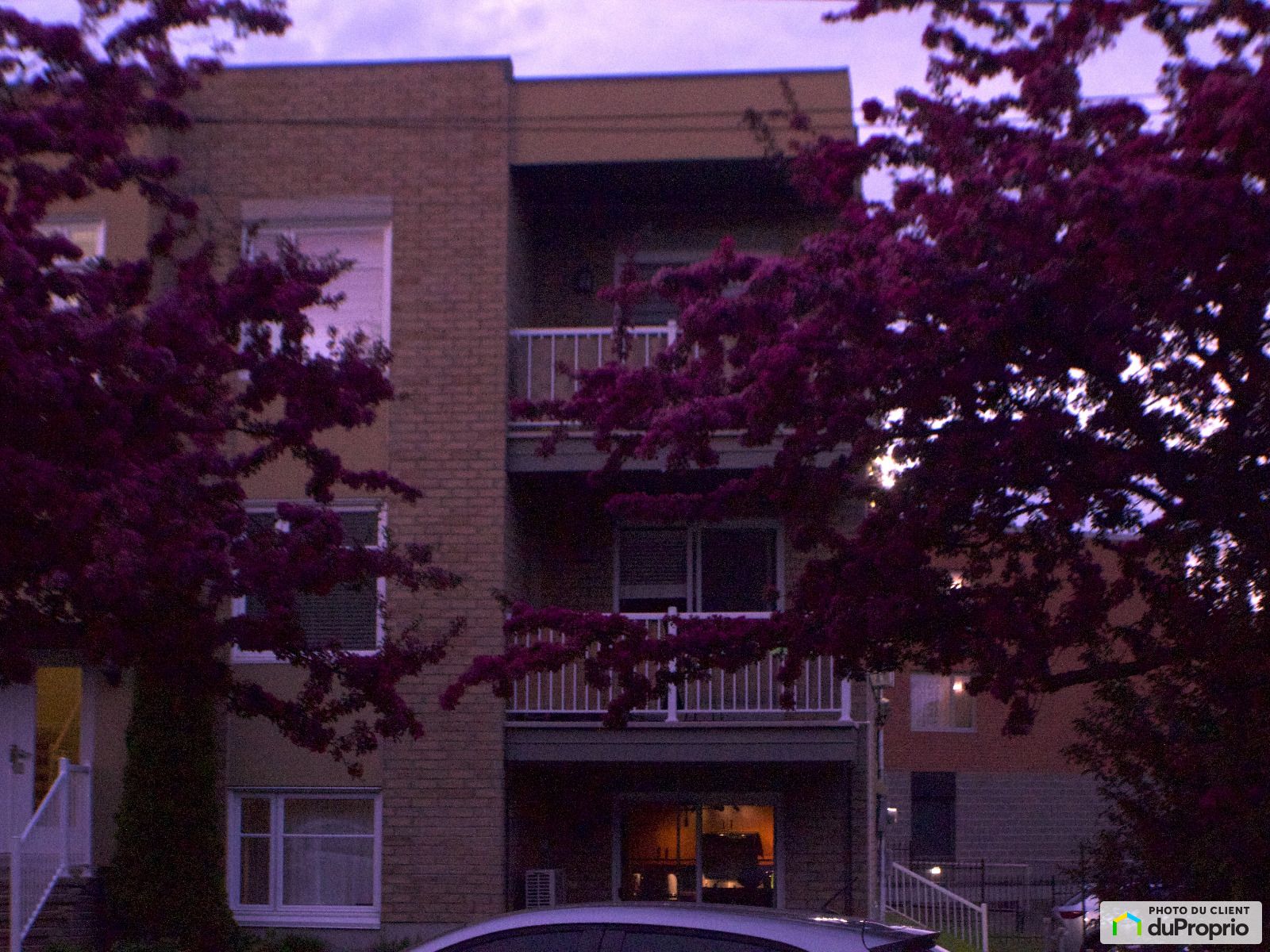 202 2210 Avenue Monseigneur Go — photo 1