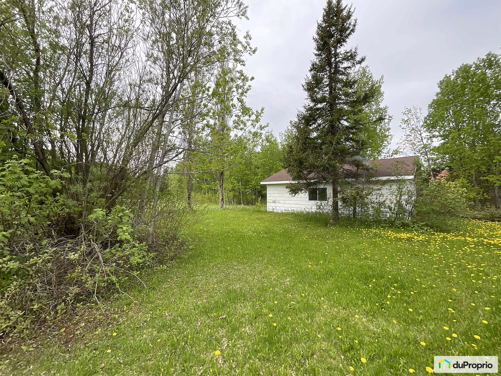 266 Route Centrale — photo 2