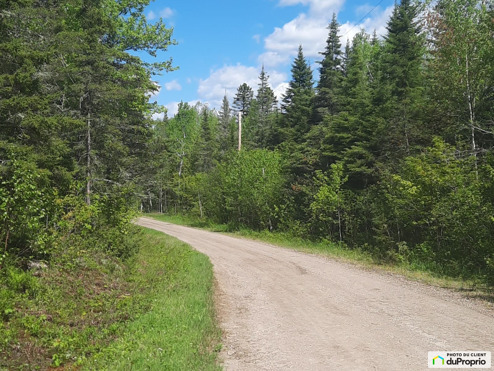Sentier Du Ruisseau — photo 1
