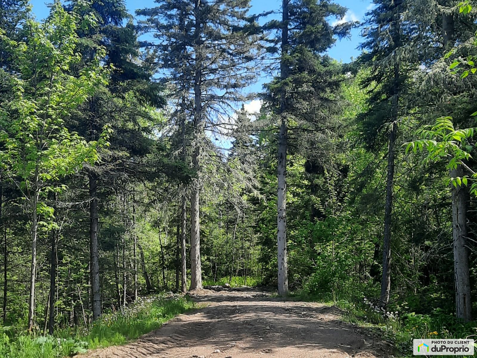 Sentier Du Ruisseau — photo 2