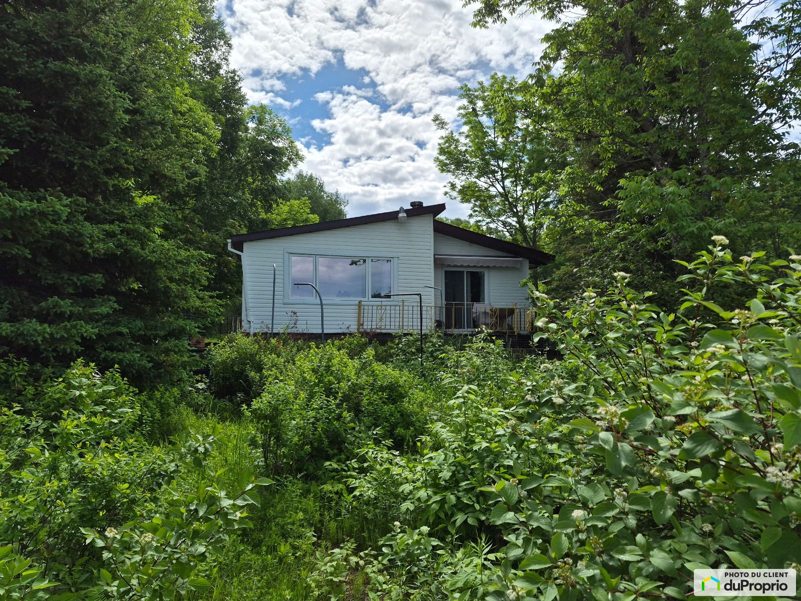 4040 Chemin Boreal — photo 2