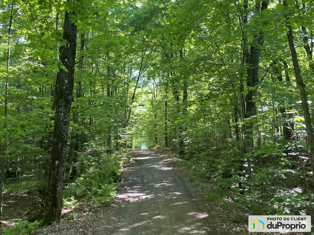 585 Chemin Du Lac Deligny — photo 3