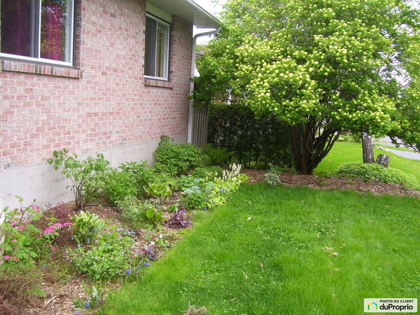 144 Rue Desranleau — photo 3