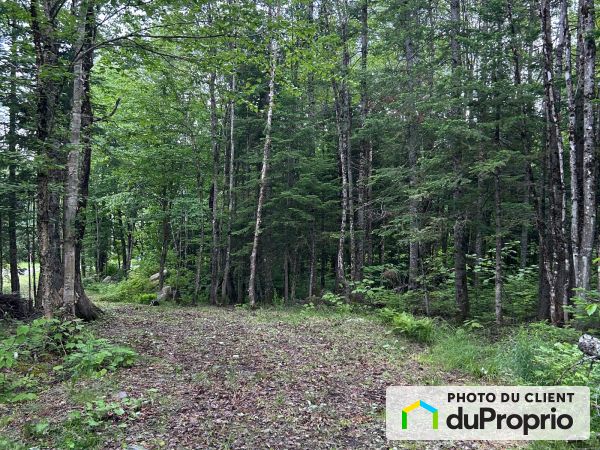 620, 5e Rang Nord, Marston à vendre
