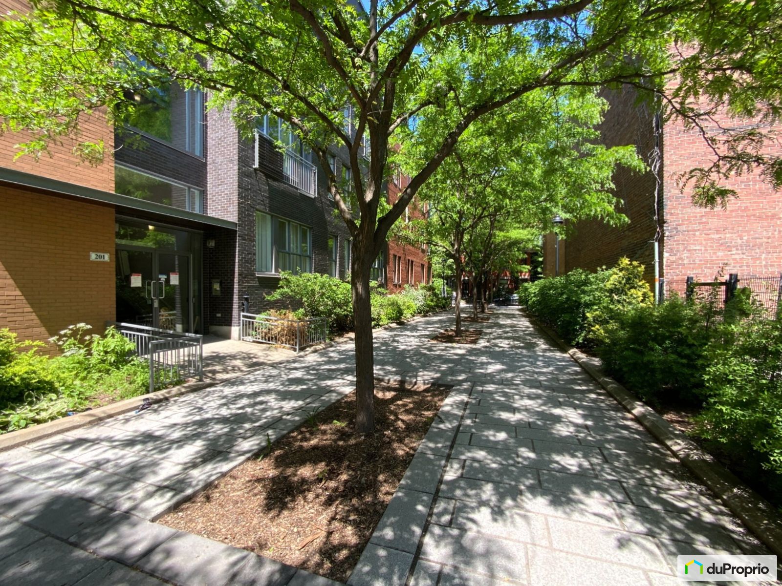 105 201 Rue Charlotte — photo 3