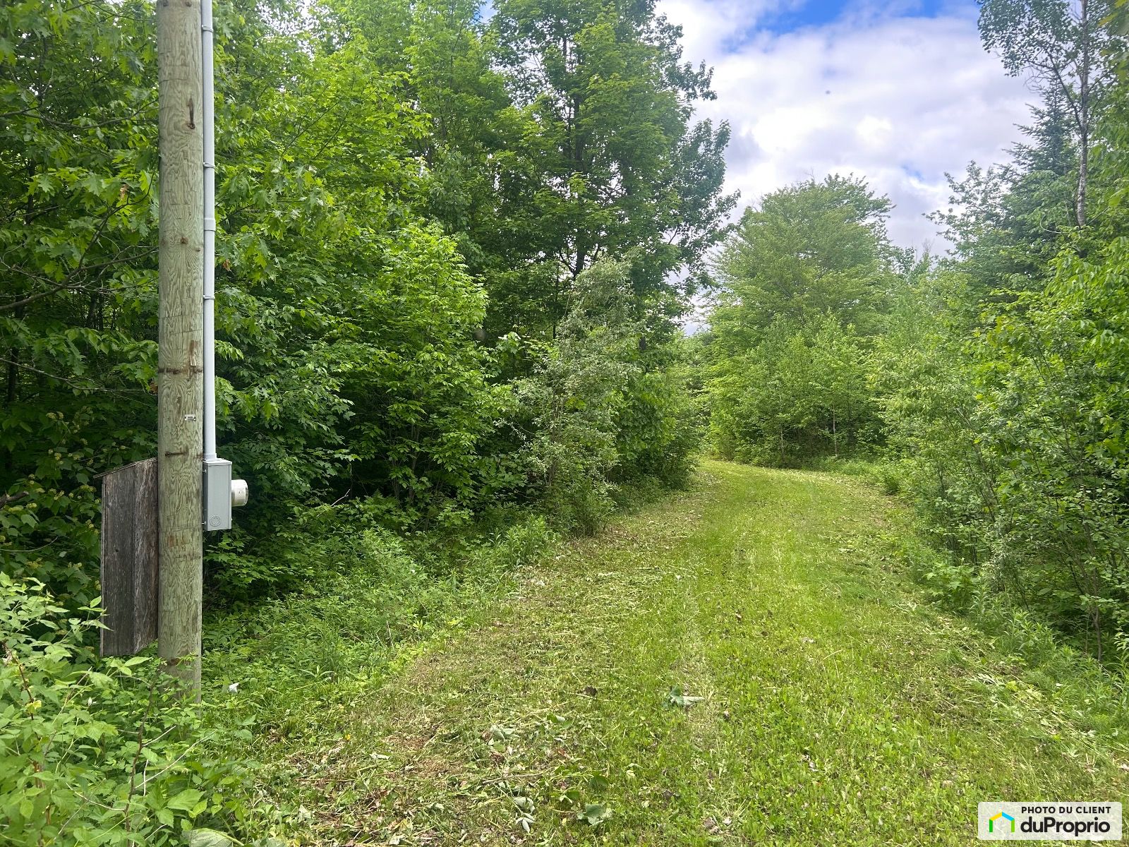 50 Rue Du Vieux Chene — photo 3