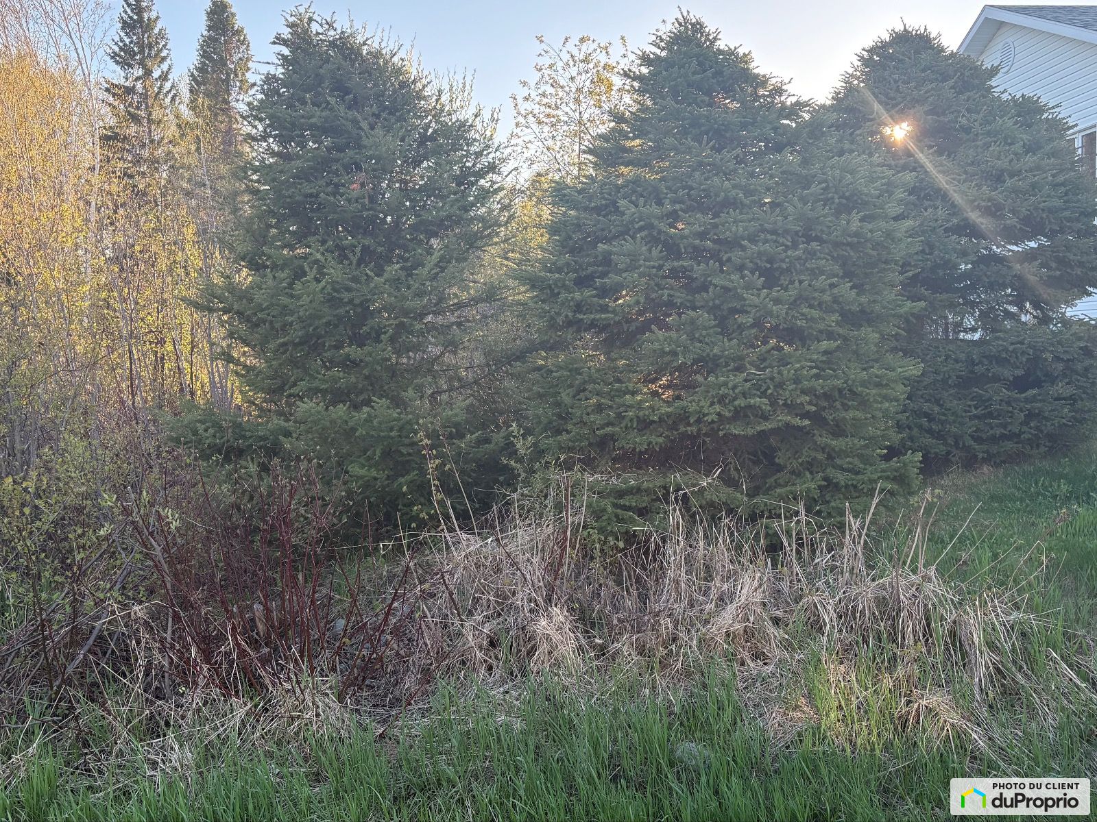 Avenue Gagnon — photo 2
