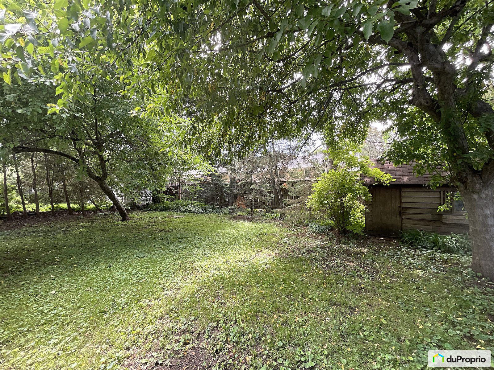 284 Avenue Stream — photo 2