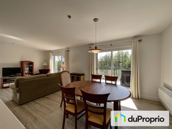 Overall View - 101-3510 rue Nicolas-Scheib, Sherbrooke (Jacques-Cartier) for sale
