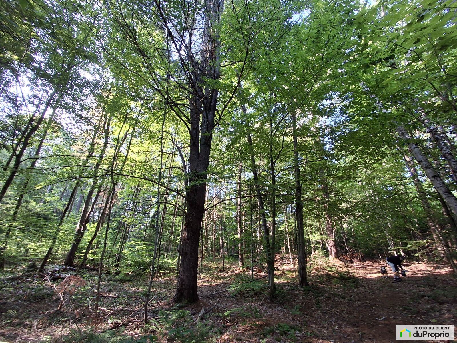 Chemin Deupen — photo 3