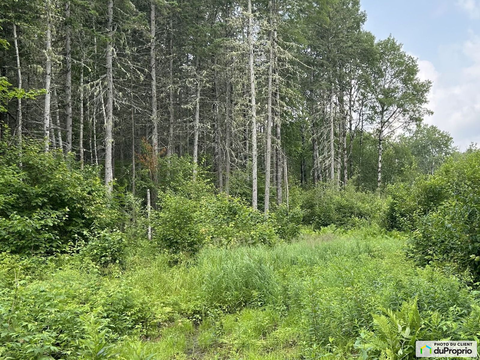 Chemin Theriault — photo 1