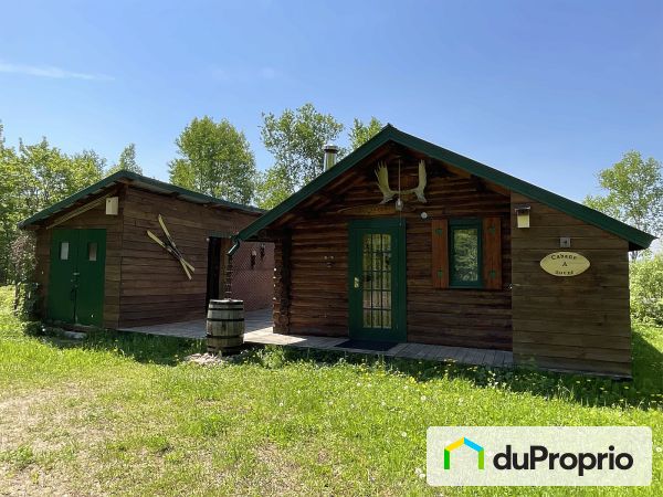 50, sentier Gustave-Claveau, St-Félix-D'Otis à vendre