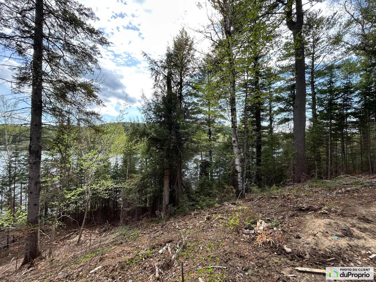 75 Chemin Du Lac Newcombe — photo 3